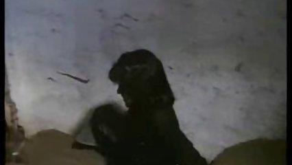Bastante de juego aficionado alemán con su gatito